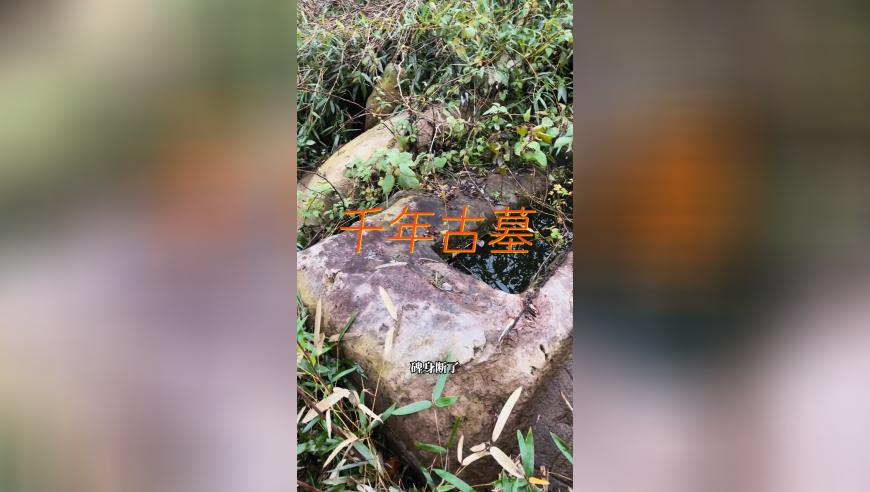 今期马会传真图 四不象,美国队长4烂番茄52%,最新热门解答落实_钱包版V10.82