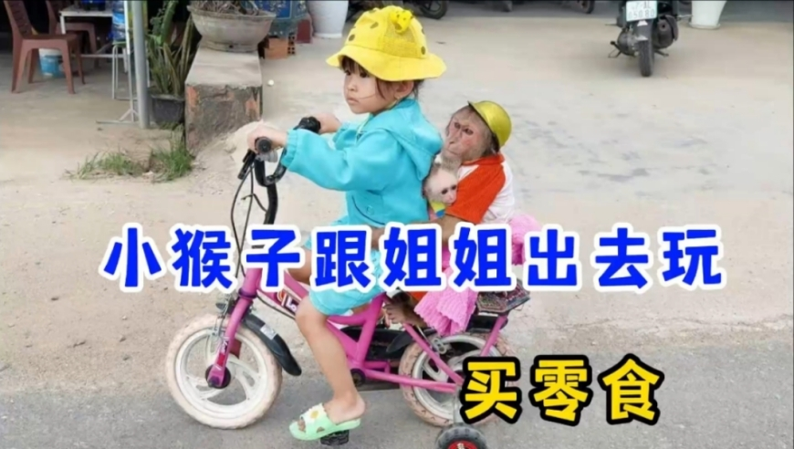新澳门开彩白小姐免费一肖一码开奖结果,俄军130公里外击落乌克兰苏27,重点解答解释落实_网红版V10.4