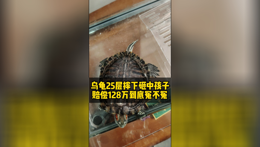 澳门4949图库免费资料,朴彩英退出韩国音著协,广泛的解释落实支持计划_极速版V5.38